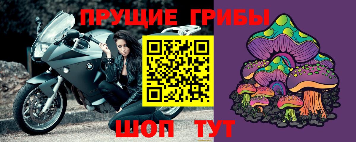 Псилоцибиновые грибы Psilocybe Гусь-Хрустальный