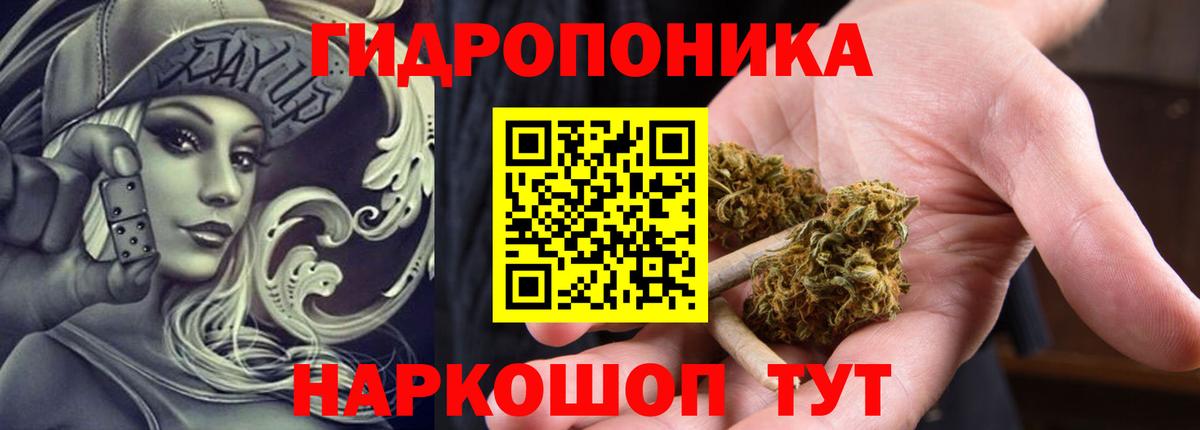 Шишки марихуана индика Гусь-Хрустальный
